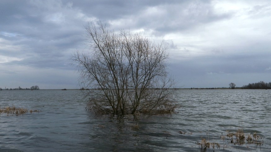 13 The Flaming Rage of The Sea Still