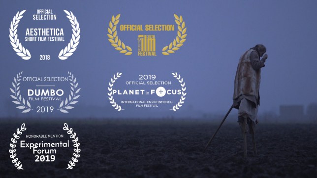 Laurels The Flaming Rage of The Sea 5 laurels